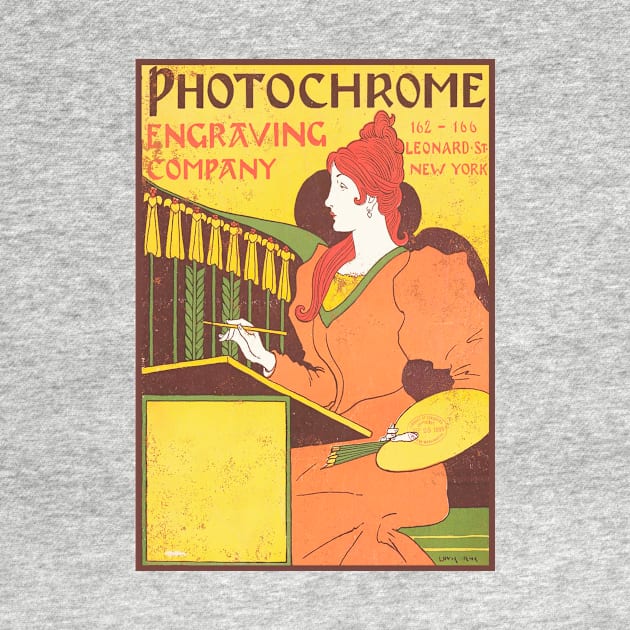 Photochrome Engraving Company Advertisement, 1893 by WAITE-SMITH VINTAGE ART